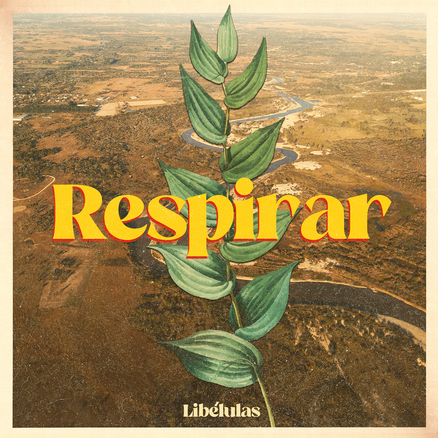 Libélulas lanzan su nuevo sencillo, «Respirar»