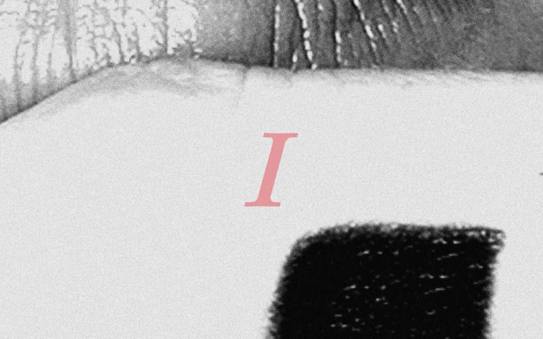 «Petals For Armor I»: Hayley Williams nos revela su vulnerabilidad