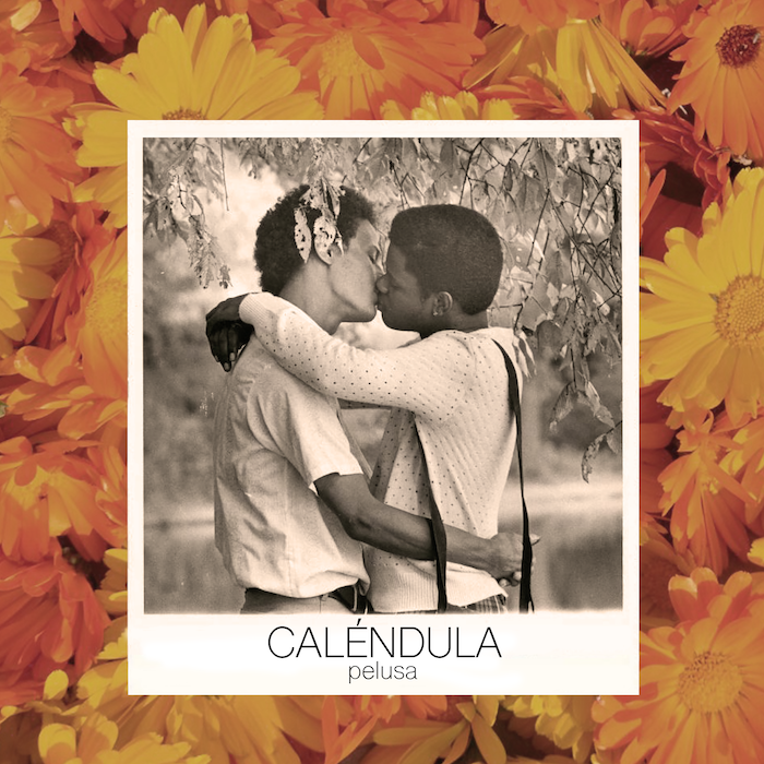 La banda de rock-pop nacional Pelusa libera nuevo sencillo «Caléndula»