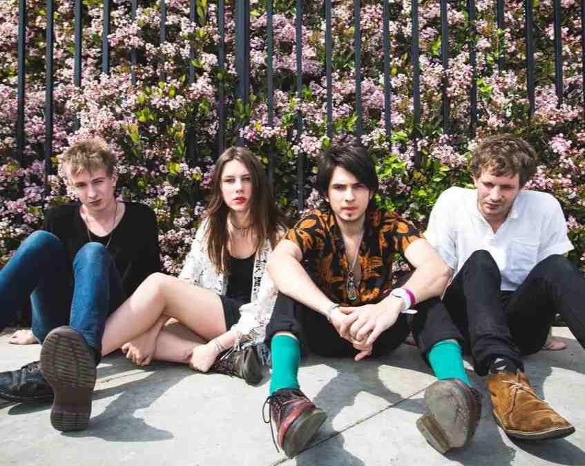 «The Wonderwhy» de Wolf Alice