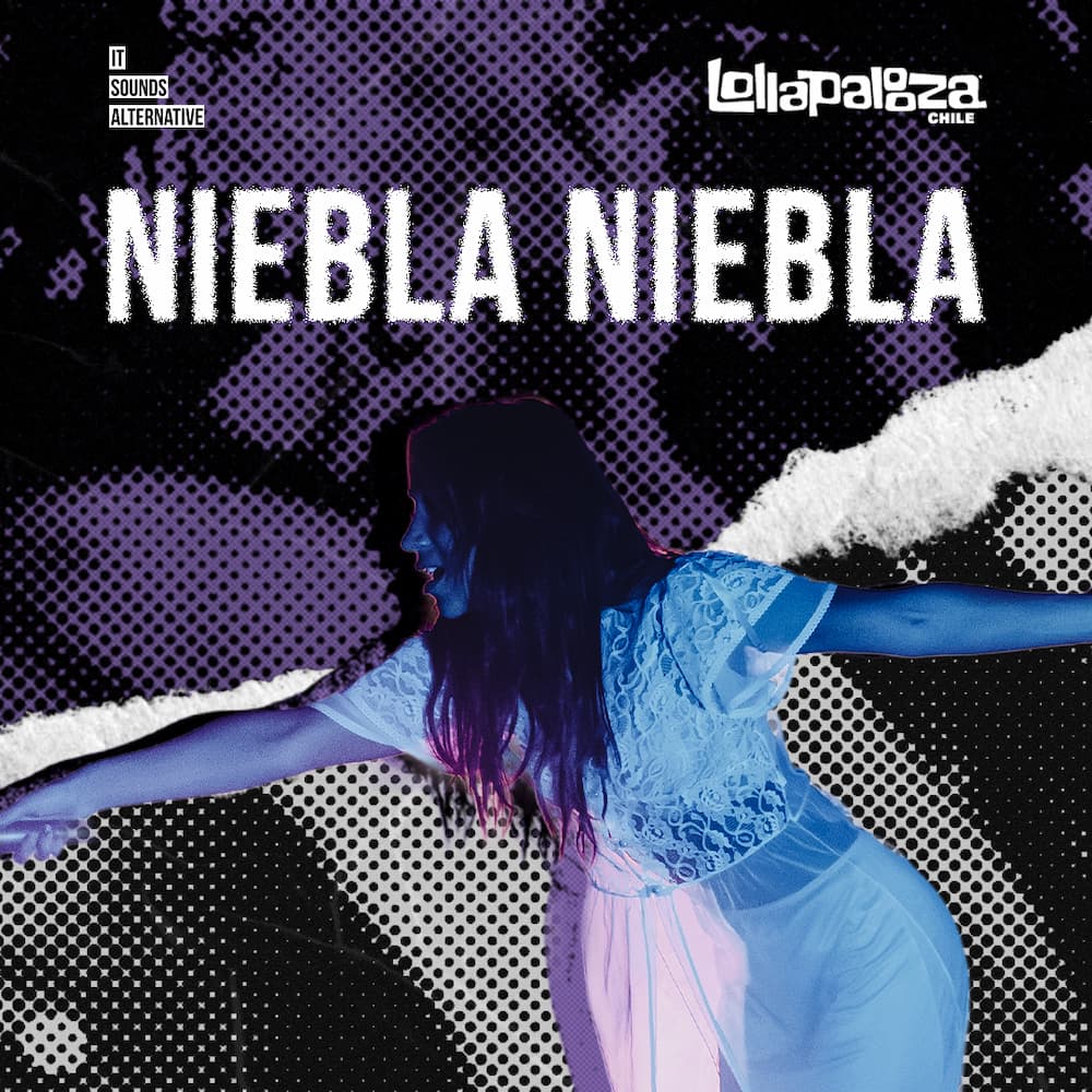 ItSA Interview: Niebla Niebla
